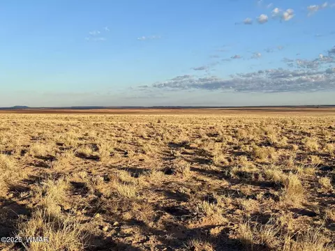 13 Kerr Mcgee Rd, Chambers, AZ 86502 photo 13
