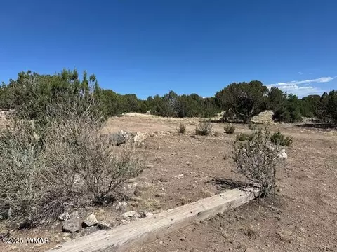 68 County Rd N8171, Concho, AZ 85924
