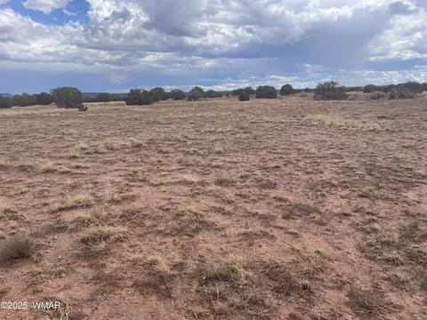 4235 Clydesdale Rd, Snowflake, AZ 85937