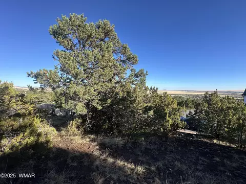1665 W Valley Vista Dr, Eagar, AZ 85925