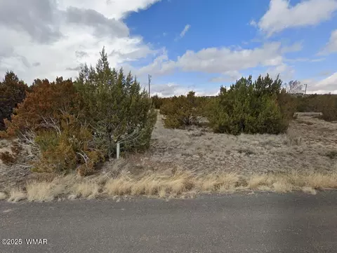 137 Frontage Rd, Concho, AZ 85924