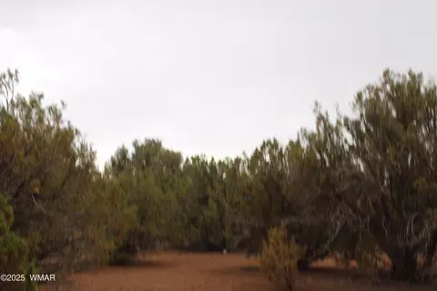 Sec 8 T11n, White Mountain Lake, AZ 85912