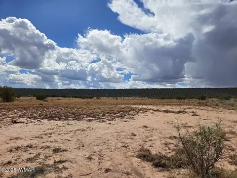 4012 Colt Rd, Snowflake, AZ 85937 photo 11