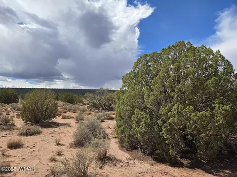 4012 Colt Rd, Snowflake, AZ 85937 photo 4