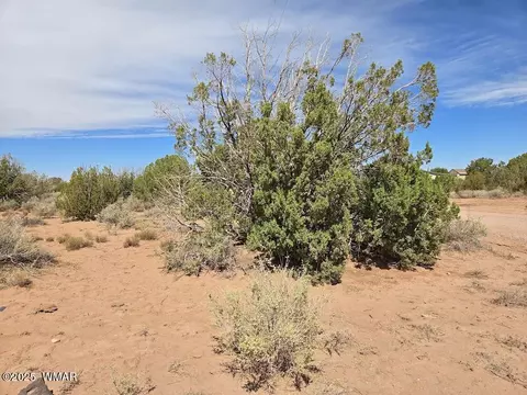 4012 Colt Rd, Snowflake, AZ 85937 photo 9
