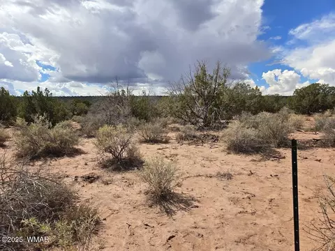 4012 Colt Rd, Snowflake, AZ 85937 photo 3