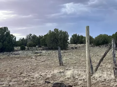 9058 E Pinto Trl, Show Low, AZ 85901