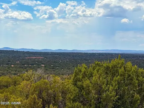 0 W Weber Way Lot B 5 Acres, Show Low, AZ 85901
