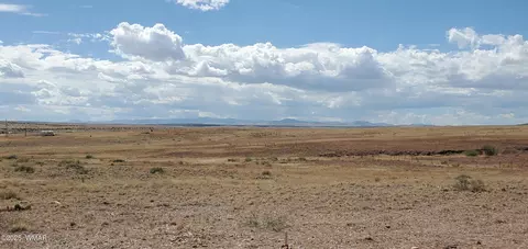 49 County Road 6032, Saint Johns, AZ 85936