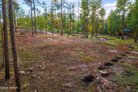 7 Eric Ln, Alpine, AZ 85920 photo 6