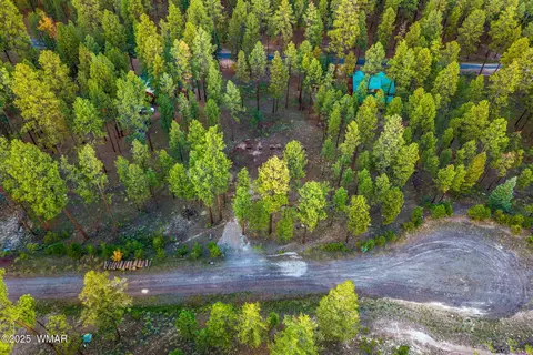 7 Eric Ln, Alpine, AZ 85920 photo 11