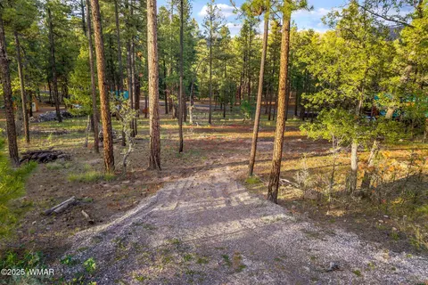 7 Eric Ln, Alpine, AZ 85920 photo 8