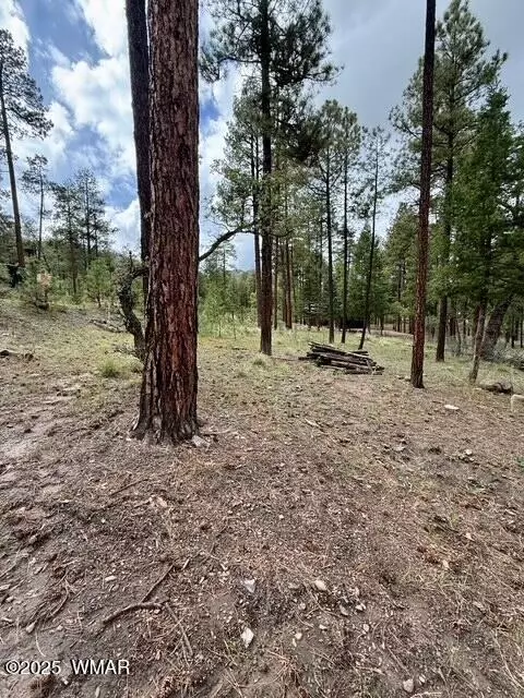 7 Eric Ln, Alpine, AZ 85920