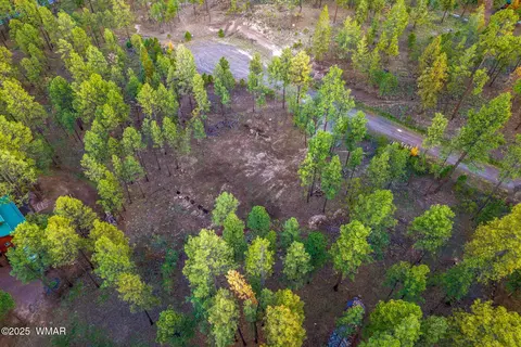 7 Eric Ln, Alpine, AZ 85920 photo 13