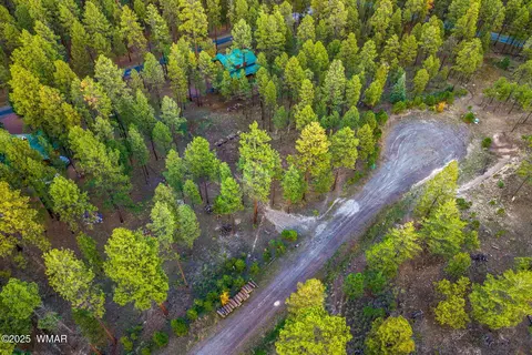 7 Eric Ln, Alpine, AZ 85920 photo 12