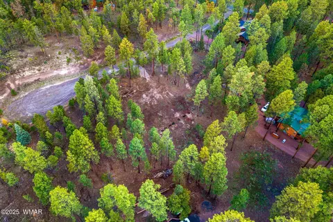 7 Eric Ln, Alpine, AZ 85920 photo 9