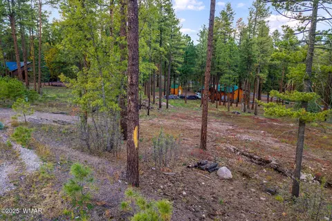 7 Eric Ln, Alpine, AZ 85920 photo 4
