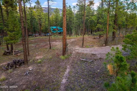 7 Eric Ln, Alpine, AZ 85920 photo 5