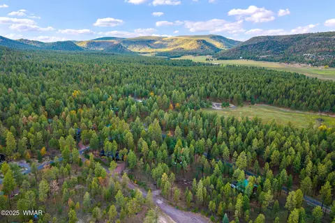 7 Eric Ln, Alpine, AZ 85920 photo 16