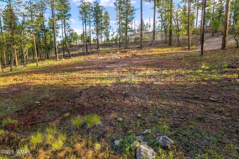 7 Eric Ln, Alpine, AZ 85920 photo 7