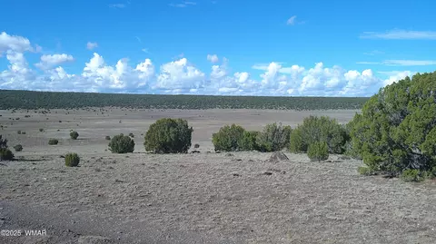 7 N Cr 8171, Concho, AZ 85924
