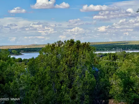 8315 Lone Pine Dr, Show Low, AZ 85901