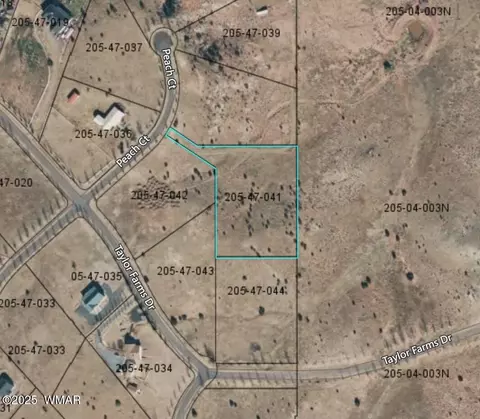 1251 S Peach Ct, Taylor, AZ 85939