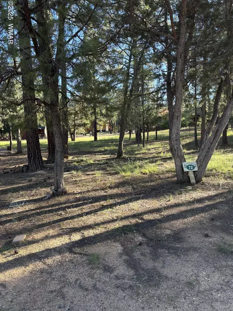 5003 Winter Hawk Ct, Lakeside, AZ 85929