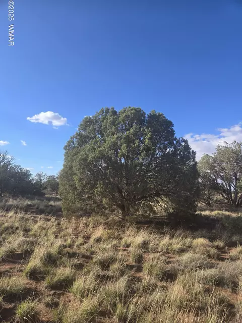 4354 Pinto Rd, Snowflake, AZ 85937