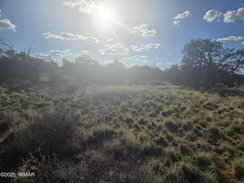 4354 Pinto Rd, Snowflake, AZ 85937 photo 4