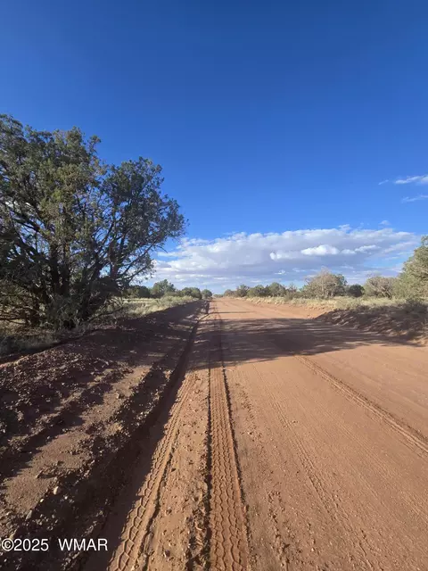 4354 Pinto Rd, Snowflake, AZ 85937 photo 3