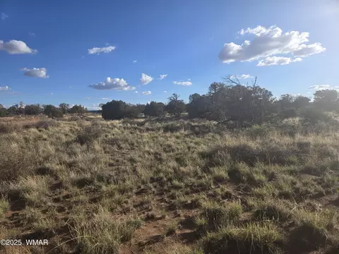 4354 Pinto Rd, Snowflake, AZ 85937 photo 2