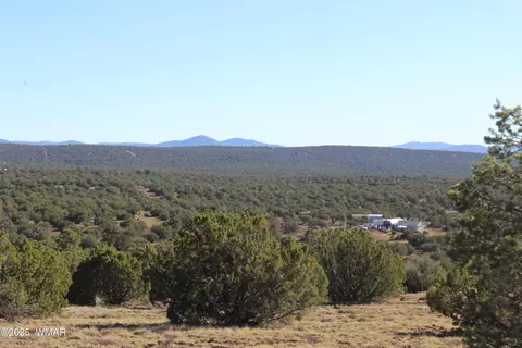 6 County Road 8052, Concho, AZ 85924