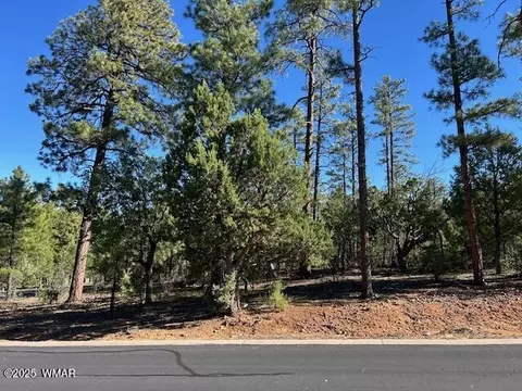 1901 S Little Creek Ct, Show Low, AZ 85901