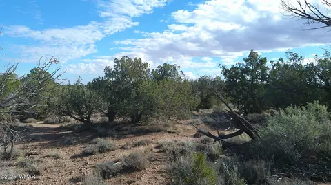 4123 W Juniper Rd, Snowflake, AZ 85937