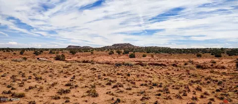 3219 El Capitan Rd, Snowflake, AZ 85937 photo 12