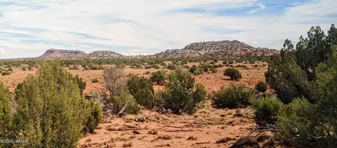 3219 El Capitan Rd, Snowflake, AZ 85937 photo 13