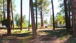 2525 Gold Dust Trl, Show Low, AZ 85901