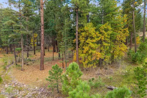 7 2190, Alpine, AZ 85920 photo 4
