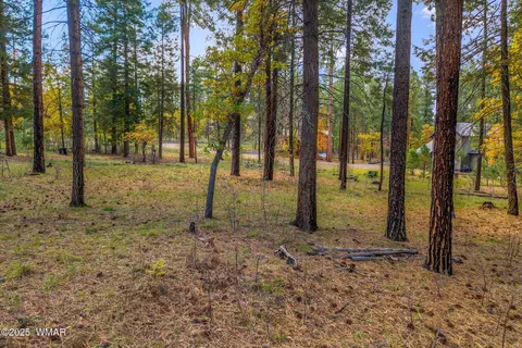 7 2190, Alpine, AZ 85920 photo 6