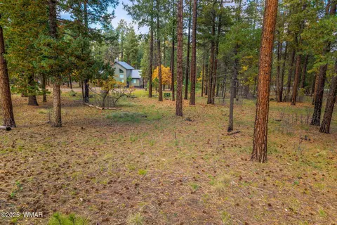 7 2190, Alpine, AZ 85920 photo 5