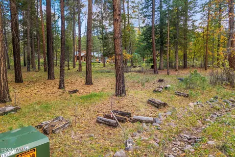 7 2190, Alpine, AZ 85920 photo 3
