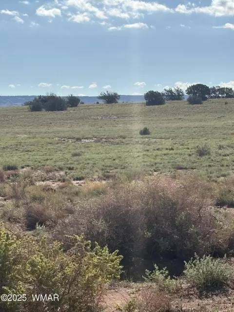 E N Cr 5576, Concho, AZ 85924