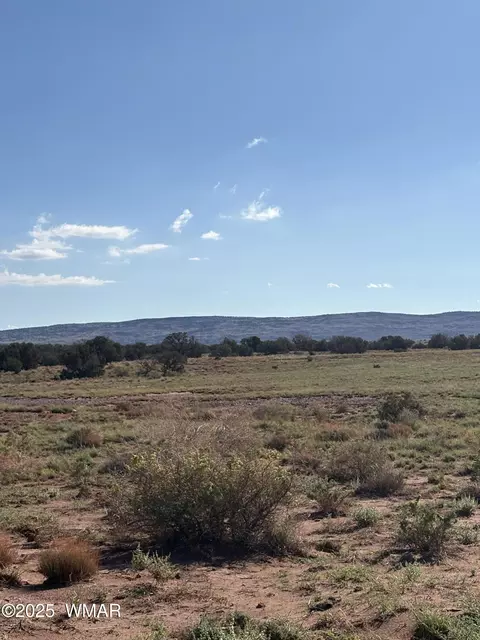 A County Road 5576, Concho, AZ 85924