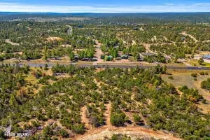 3654 Zane Grey Trl, Overgaard, AZ 85933 photo 4