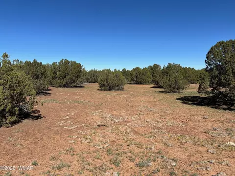8656 Bonito Dr, Show Low, AZ 85901