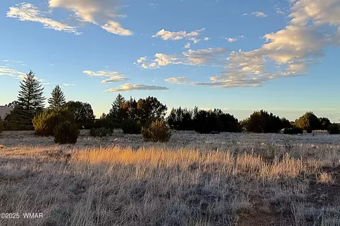 1930 Silver Lake Blvd, Show Low, AZ 85901
