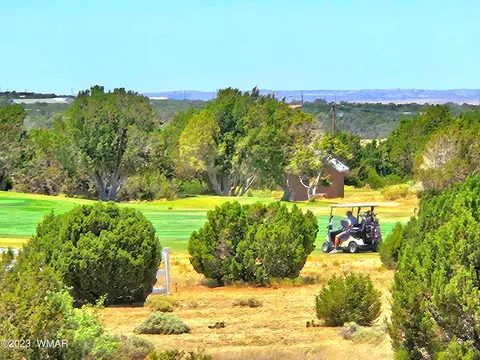 1950 Creekside Cir, Show Low, AZ 85901