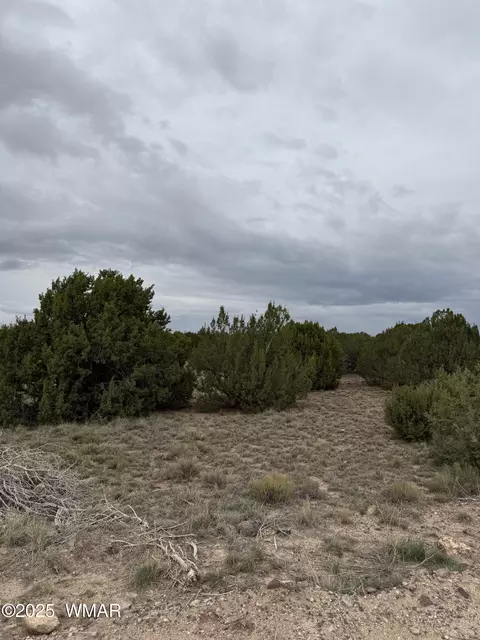 55 County Rd, Concho, AZ 85924