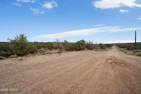 4189 Sorrel Rd, Snowflake, AZ 85937 photo 11